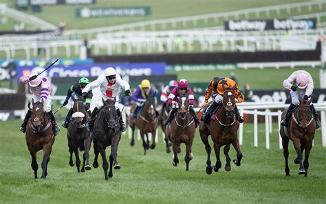 cheltenham best bets - Cheltenham horse racing tips